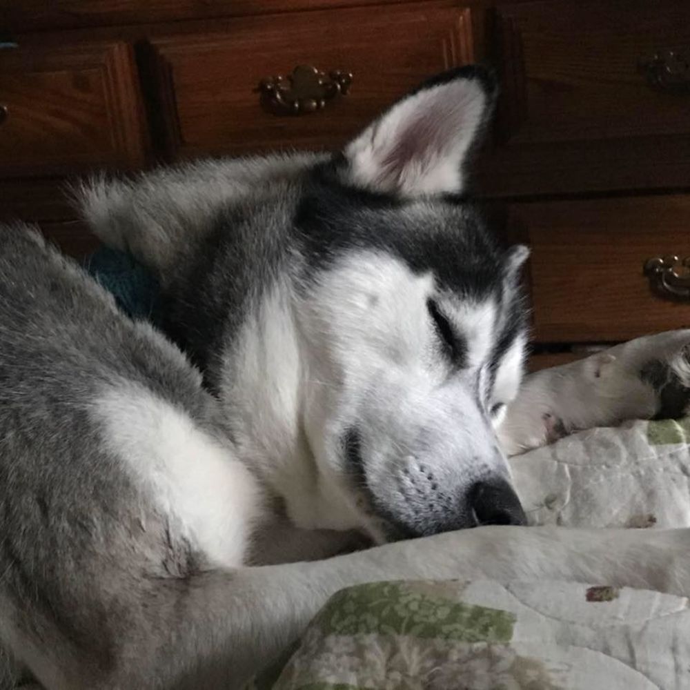 Meet your Posher, Alda